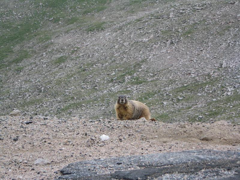 Mt Evans 060.JPG